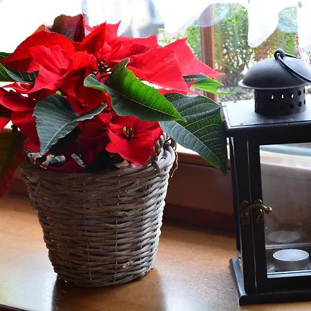 Πανσιόν Restaurace A U Hasicu